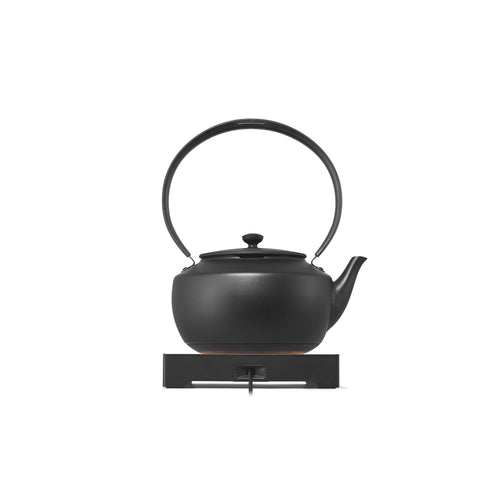 BALMUDA MoonKettle Electric Kettle with Temperature Control