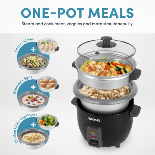 Aroma ARC-363-1NGB 6-Cup Rice Cooker & Steamer – Silver